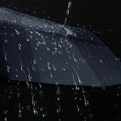 10 Ribs Auto Open Close Umbrella with Leather Cover