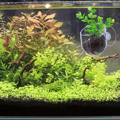 2pcs Red Worm Feeder Aquarium Plant Pot Plastic Fish Tank Plants Holder