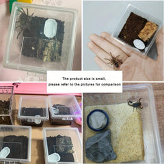 5pcs Plastic Breeding Box for Small Reptiles Insects