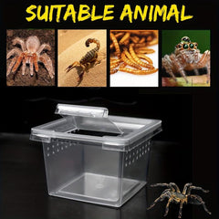 5pcs Plastic Breeding Box for Small Reptiles Insects