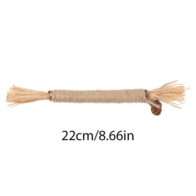 Natural Silvervine Sticks Cat Chew Toy For Kittens Dental Care