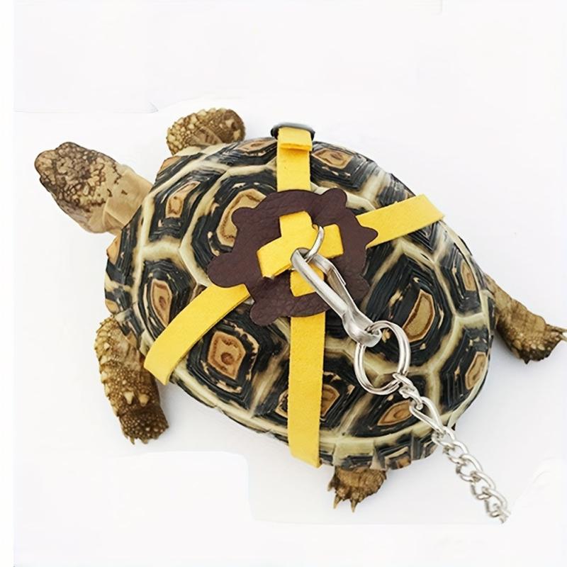 Random Pet Training Leash Rope Harness for Small Pets