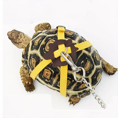 Random Pet Training Leash Rope Harness for Small Pets