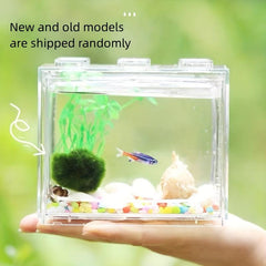 Permeable Betta Fish Tank, Transparent, Small, HD, Ecol