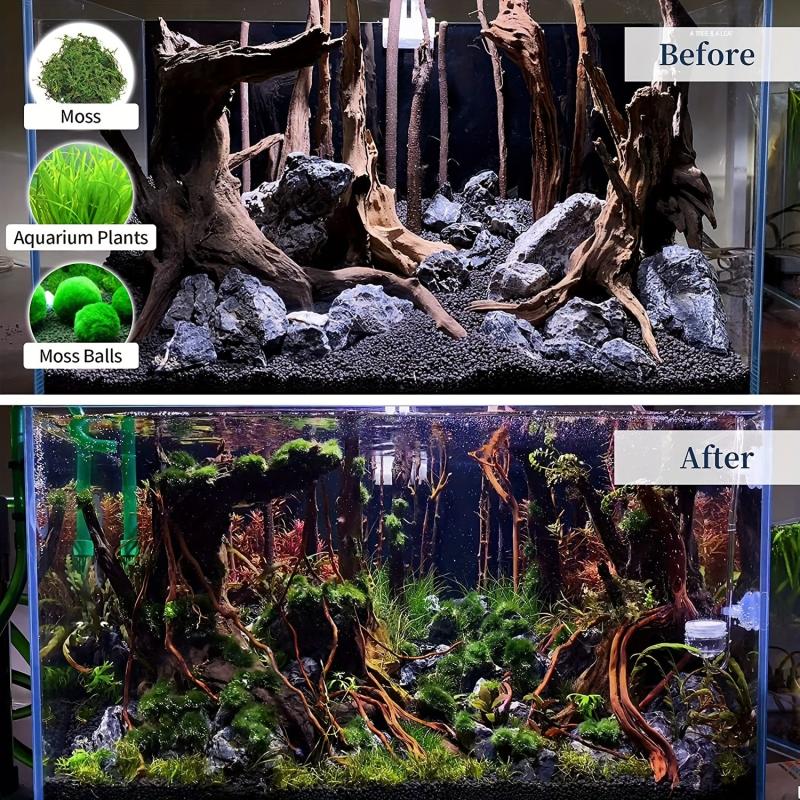 Natural Large Driftwood for Aquarium Reptile Decor, 27-38 Inch