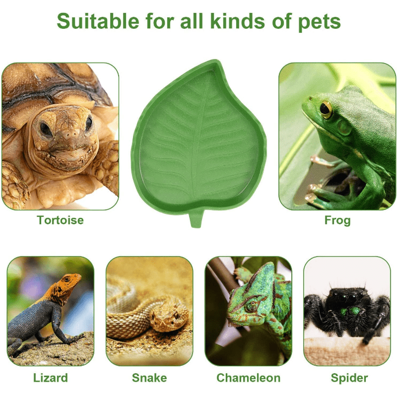 Leaf Shaped Reptile Food Bowl for Turtles and Snakes