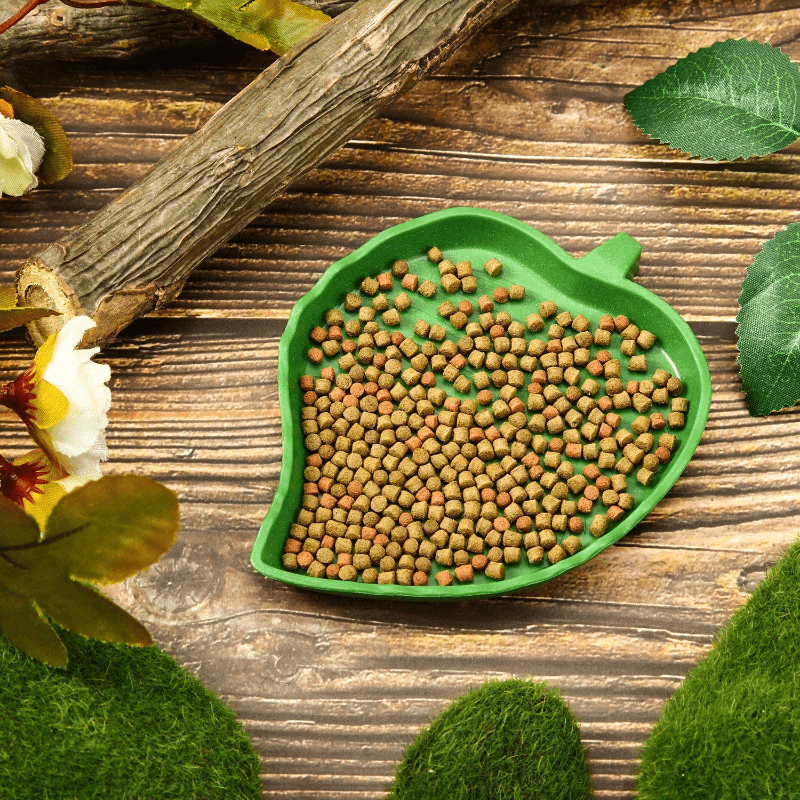 Leaf Shaped Reptile Food Bowl for Turtles and Snakes
