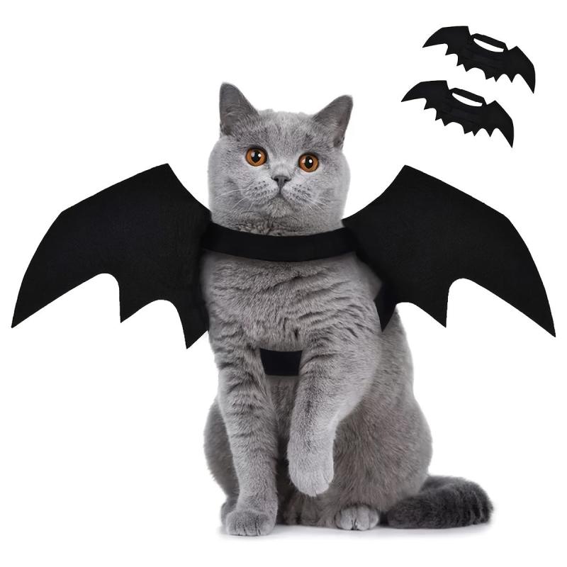 Adorable Bat Wings for Your Pet this Halloween