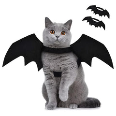 Adorable Bat Wings for Your Pet this Halloween
