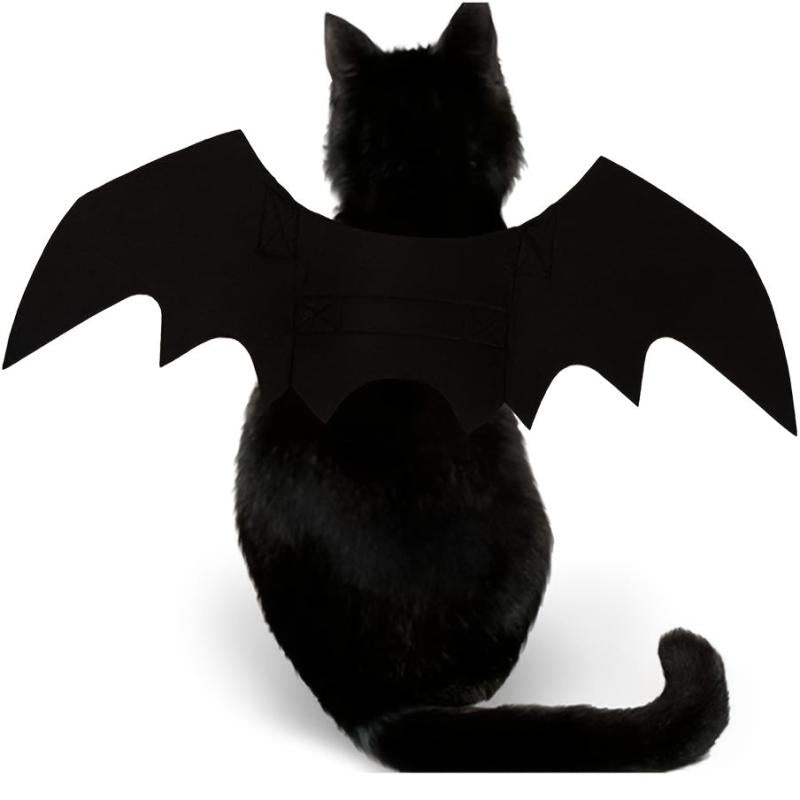 Adorable Bat Wings for Your Pet this Halloween