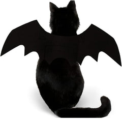 Adorable Bat Wings for Your Pet this Halloween