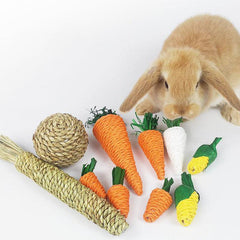 Woven Chew Toy for Hamsters and Rabbits with Carrot
