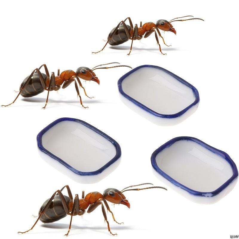5pcs Ant Farm Feeder Nest Insect Pet Anthill Ant House Water Food Feeding Bowl
