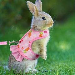 Comfortable Breathable Rabbit Harness Leash - Rabbit Vest & Breathable Leash Set