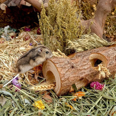 8pcs Hamster Tunnel Natural Wood Chew Toys Forest Hollow Tree Trunk