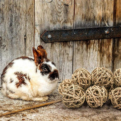 4 Pcs Small Animal Chew Balls Toy Rolling Activity Balls Bunny Treat Grass Ball