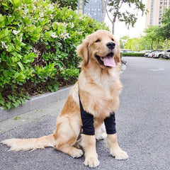 Dog Elbow Coat Anti ash Joint Protective Sleeve Wear Dog Leg Protector Pet Knee