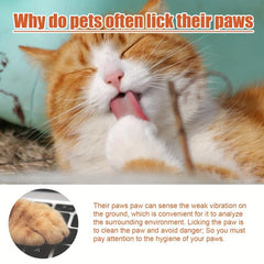 Pet Claw Balm for Healthy Paws Moisturizes Soothes Nail and Meat Pads Foot Care
