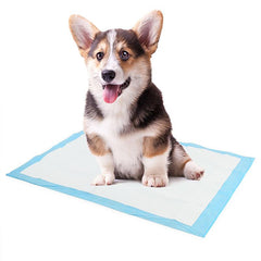 10pcs Disposable Dog Diapers High Absorbent Deodorant Puppy Urine Pads