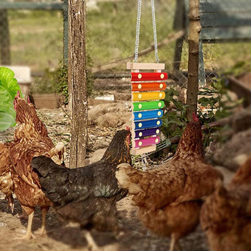 Colorful Wooden Bird Toys for Parrots and Parakeets Fun Training Game