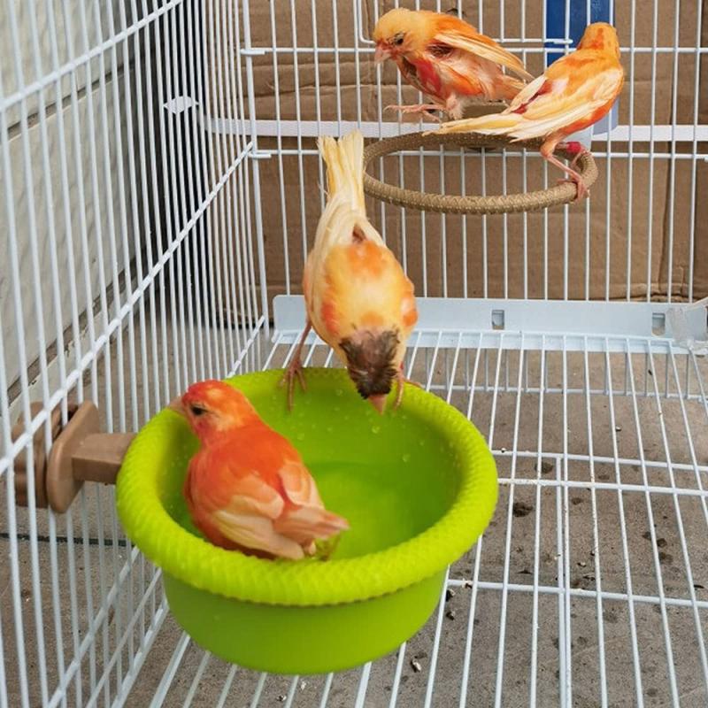 Bird Bath for Parrots Canaries Finches Budgerigars