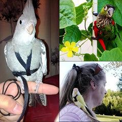 Adjustable Bird Harness & Leash for Parrot Comfort & Security