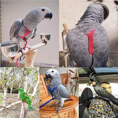 Adjustable Bird Harness & Leash for Parrot Comfort & Security