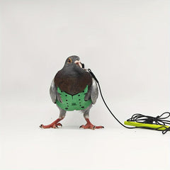 Pigeon Flying Rope Bird Clothes Pigeons Vests Pigeon Supplies Pigeon Training
