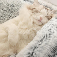 Plush Hooded Cat Cave Bed Round Pet Sleeping Cushion Bed
