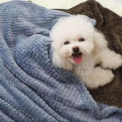 Thick Warm Pet Blanket for Autumn & Winter Dog Sleeping Mat