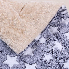 Cartoon Heart Print Pet Mat Double Layer Cushion All Seasons Cat Bed Mat