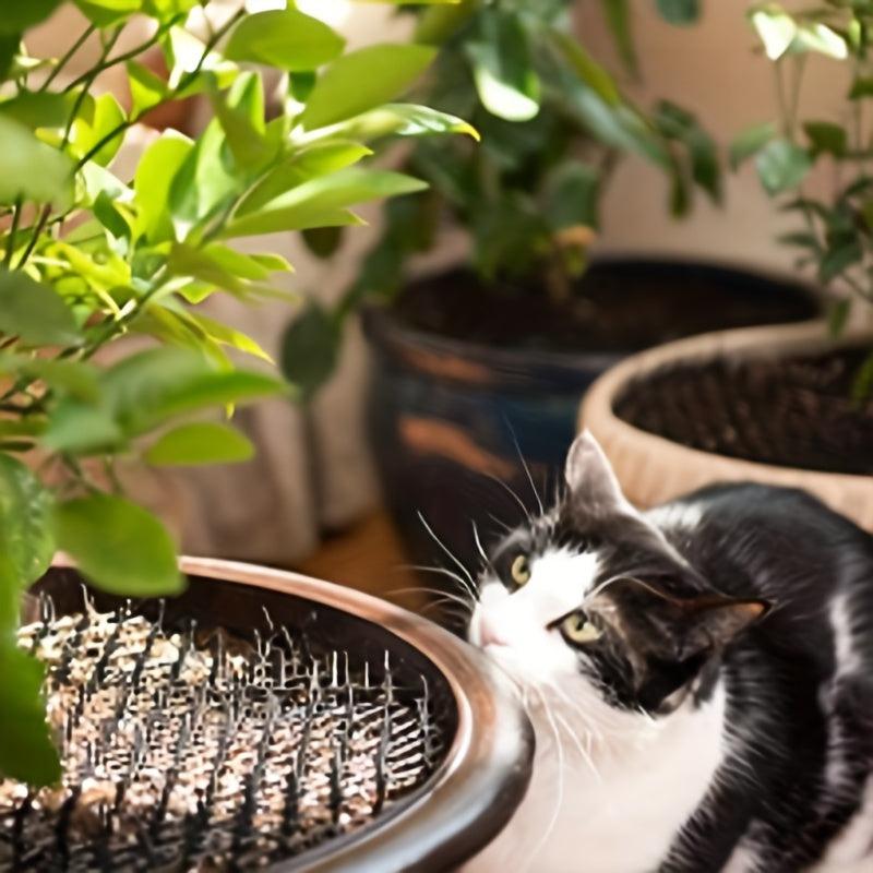 Cat Scat Mat with Spikes 198x27 Prickle Strips Anti-Cats Digging Stopper
