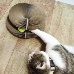 Foldable Cardboard Cat Scratcher with Bell - The Purrfect Cat Toy