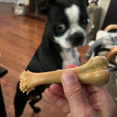 Dog Chew Toy Bone Shaped Interactive Play Beef Flavor Toy