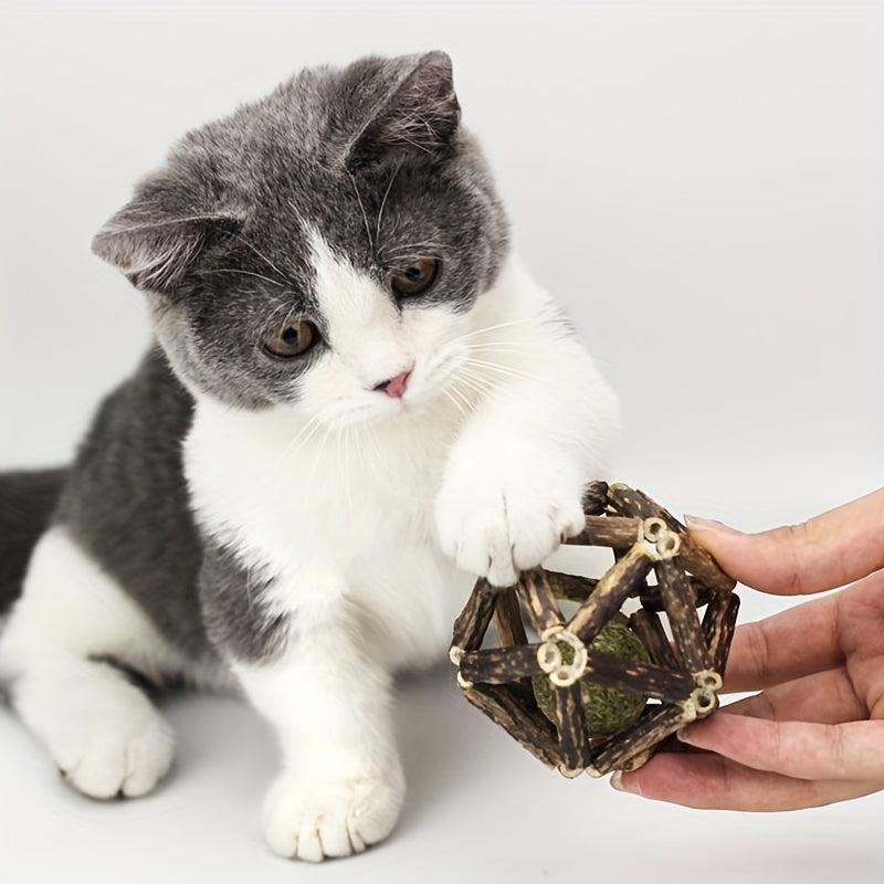 Catnip Toys Ball Kitten Teething Toy Interactive Pet Supplies