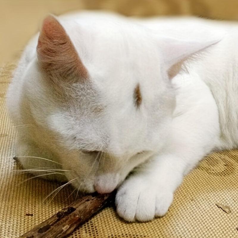 Interactive Cat Stick Chew Toy - Durable Teething Kitten Fun Toy