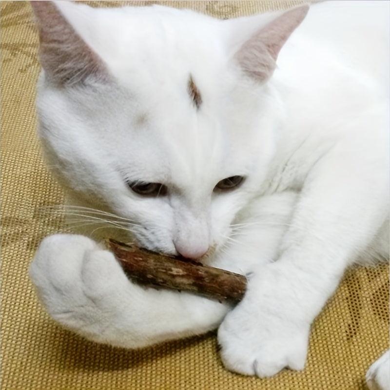 Interactive Cat Stick Chew Toy - Durable Teething Kitten Fun Toy