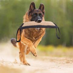 Durable Dog Chew Toy with Dual Handles Assorted Varieties