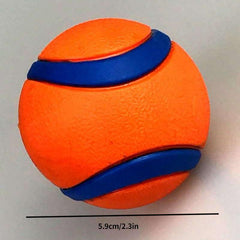 Durable Dog Training Chew Toy for Interactive Play
