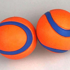 Durable Dog Training Chew Toy for Interactive Play