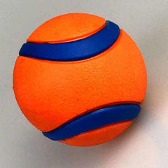 Durable Dog Training Chew Toy for Interactive Play