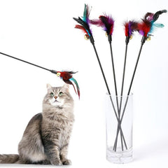 Interactive Cat Wand Toy with Bell and Feathers