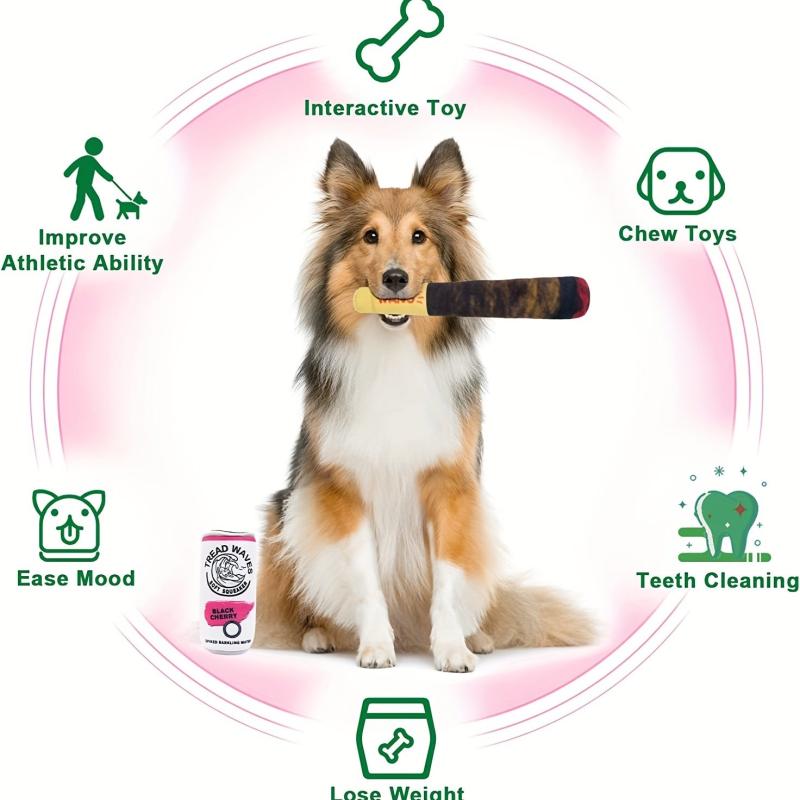 Fun Squeaky Plush Dog Toys for Birthdays & Chewing