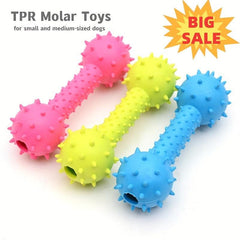 Squeaky Dumbbell Dog Chew Toy for Teeth Grinding & Playful Exercise