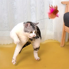 Interactive Cat Toy Collar Teaser Stick with Feather and Bell