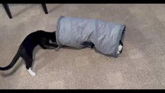 Collapsible Cat Tunnel Tube Play Tent Cat Toy Indoor with Plush Ball