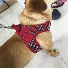 Soft Mesh Dog Harness Adjustable Step In Vest for Dogs