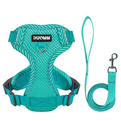 Breathable Mesh Dog Vest for Summer Walks, Adjustable and Reflective