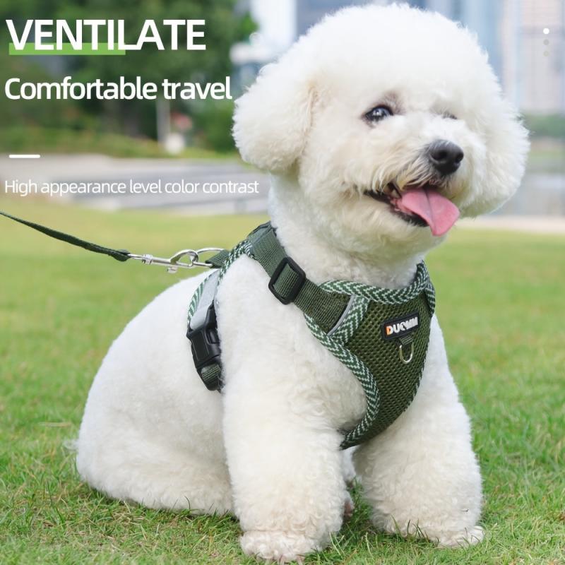 Breathable Mesh Dog Vest for Summer Walks, Adjustable and Reflective