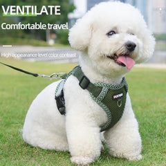Breathable Mesh Dog Vest for Summer Walks, Adjustable and Reflective